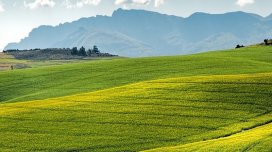 Azərbaycanda torpağın məqsədli təyinatının dəyişdirilməsi üçün əsaslar müəyyənləşdi