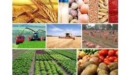 Hər kəsi düşündürən sual: Belə havadan sonra qıtlıq olacaq?
