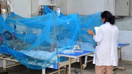 Təhlükəli virus qapıda: Artıq Qərbi Azərbaycanda...