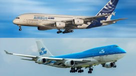 Bu 6 məşhur dekorativ ot bağınızı məhv edə bilər