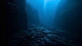 İnsan təcrübəsi okean dibinin bir hissəsində bütün həyatı necə məhv etdi?
