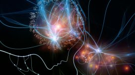 Alim: Şüur ​​zaman və məkandan əvvəl yaranıb