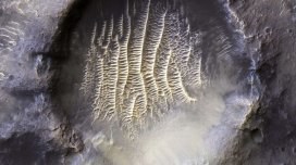 Alimlərin Yerdəki kəşfi Marsda həyatın mövcud ola biləcəyi iddiasını gücləndirir