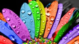 Rənglərin nə məna verdiyini bilirdiz?