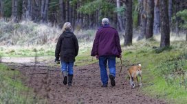 İnsanın yerişi onun sağlamlığından xəbər verə bilər