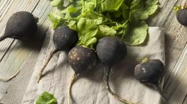 Hər kəsin bilmədiyi qara turpun faydaları