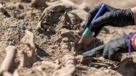 ABŞ-da güclü vulkan püskürməsindən sağ çıxan qədim itlərin izləri tapıldı