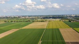 Bələdiyyənin balansında olan torpaq neçəyə satılacaq?