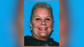 Özünü varlı ailənin varisi kimi təqdim edən qadın 30 milyon dollar mənimsəyib