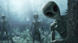 Yerdəki yadplanetlilər və onların hibridləri barədə Trampa məlumat verilib - İDDİA