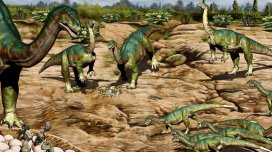 Alimlər: Bəzi dinozavrlar quşlar kimi rəngarəng ola bilərdi