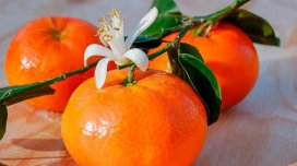 Kimlər naringi yeyə bilməz?