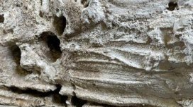 Romalılar nə üçün ölülər üçün xüsusi maye gips pastası hazırlayırdılar?