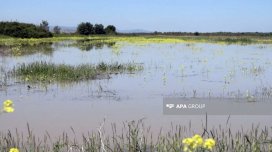 Sabirabadda 3 gün əvvəl göldə batan şəxsin meyiti tapılıb