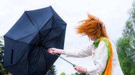 Küləkli hava şəraiti ilə bağlı sarı xəbərdarlıq