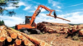 &ldquo;Ələt Ağac Emalı&rdquo; ASC-nin külli miqdarda borcu var