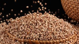 Qarabaşaq arıqladır?