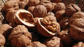 Qoz yemək üçün 6 səbəbi - Ekspertlər izah edir