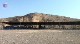 Tovuzda heyvan bazarı nə vaxt açılacaq? -VİDEO