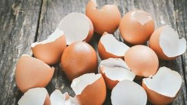 Yumurtanı qırandan sonra qabığını atmayın