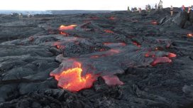 "Cəsarətli" həyat formaları: lavlar hələ soyumadan məskunlaşırlar