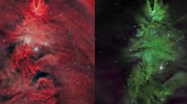 Kosmik Milad ağacı: Astronomlar qeyri-adi ulduz dəstəsini qeydə alıblar