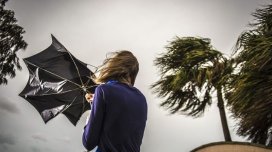 
Küləkli hava şəraiti ilə bağlı sarı xəbərdarlıq verilib