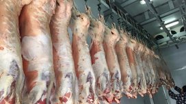 Bakıda satılan "monqol quzuları" təhlükəsizdir?