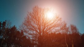 Kişilərdə depressiya riskini azaltmağın sadə yolu tapıldı