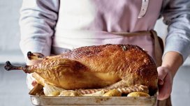 Qaz ətini yeməyənlər faydasından xəbərsizdir