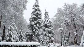 Xınalıq, Qrız, Qusar, Şahdağda qar yağır - FAKTİKİ HAVA