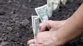 Bakıda torpaq alanların diqqətinə! - "Dodaq uçuqladan" QİYMƏTLƏR