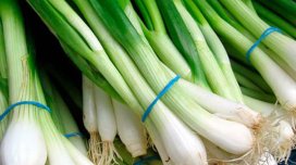 Göy soğanın sağlamlığımıza TƏSİRLƏRİ