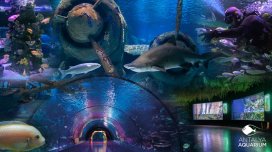 Antalyanın tematik parkları bu qış və yazda da qonaqlarını gözləyir - FOTO