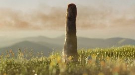 Sirli nəhənglər: Onlar artıq mövcud olmayan yeni həyat növü ola bilər