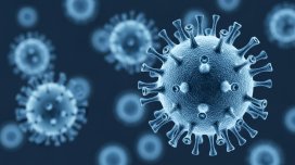 Nipah virusu epidemiya və ya pandemiyaya səbəb olacaq?