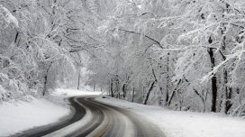 Sabahın hava proqnozu