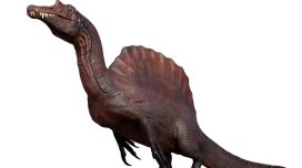 Nəhəng "yelkən" və uzun kəllə: Bioloq tarixdəki ən qəribə dinozavrdan danışdı