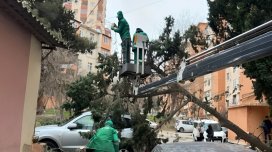 Güclü külək nə qədər maşın və evə ziyan vurub? - Məbləğ açıqlandı