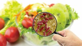 Qida zəhərlənmələrinin əsas səbəb nədir?