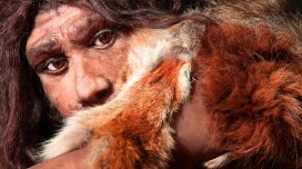 Alimlər neandertalların nəslinin kəsilməsinin yeni səbəbini tapdı