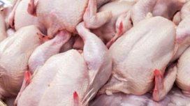 Toyuq ətinin qiyməti ilə bağlı VACİB AÇIQLAMA
