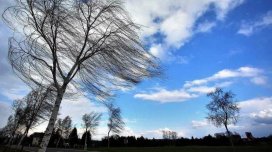 Sabah güclü külək əsəcək