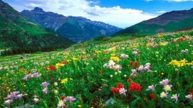 Yaz fəslinin Azərbaycana daxil olacağı vaxt açıqlandı
