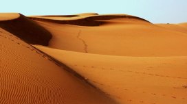 NASA Səudiyyə Ərəbistanının ürəyində səhrada sirli dairələr aşkarladı - FOTO