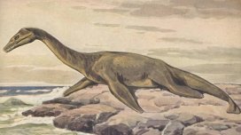 Dinozavrlar tarixindəki boşluğu dolduran dəniz "canavarı"nın izi tapıldı