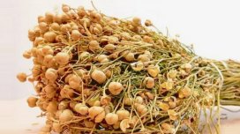 Üzərlik qoruyucu qüvvədir, yoxsa gizli təhlükə?