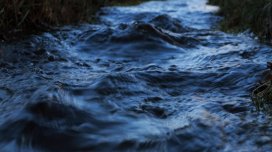 Canlı həyat Yer kürəsinin yeraltı su hövzələrində gizlənə bilər
