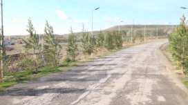 Bələdiyyə sədri kənd sakinlərinin ağac əkməsinə icazə vermədi - VİDEO