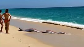 Meksika sahilində qorxulu görüntü: Dərin dənizdən gələn "qiyamət balıqları"